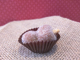 Cajuzinho or Little Cashew (Peanuts)